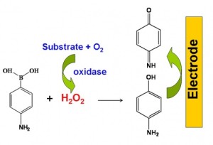A versatile strategy for electrochemical detection of hydrogen peroxide ...