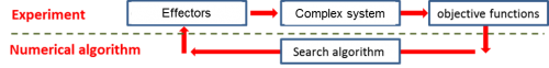 aptamer