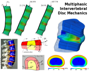 Multiphasic Intervertebral Disc Mechanics: Theory and Application ...