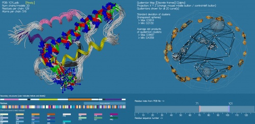 Quaternion maps of global protein structure