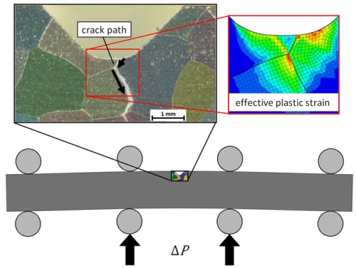 The role of elastic anisotropy, length scale and crystallographic slip in fatigue crack nucleation