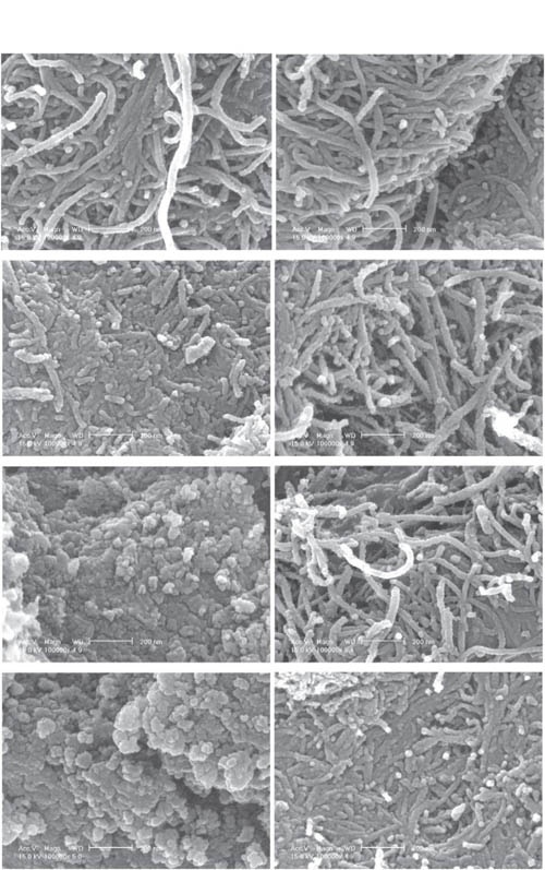 Influence of dry and wet ball milling on dispersion characteristics of the multi-walled carbon nanotubes in aqueous solution with and without surfactant