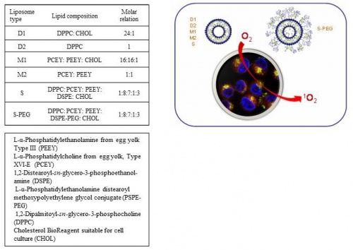 Photophysics and photobiology of novel liposomal formulations