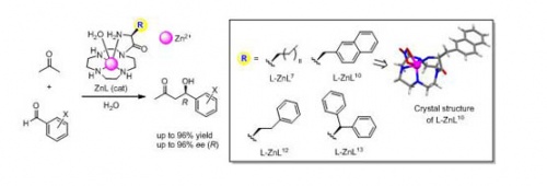 Asymmetric Aldol Reactions