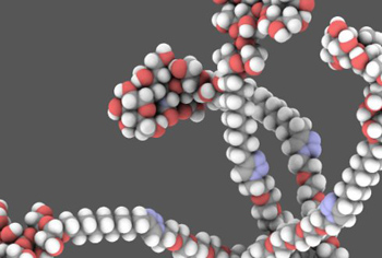 NMR