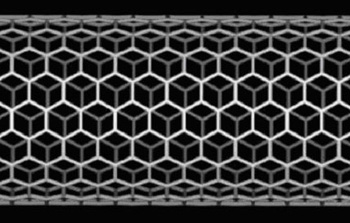 carbon nanotubes