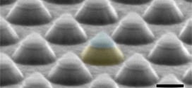 Nanosphere Lithography: Parallel Fabrication of Plasmonic Nanocone Sensing Arrays