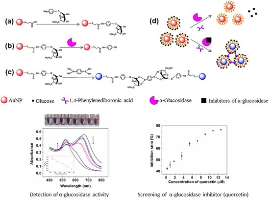 A colorimetric method for {Alph