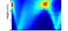 Demonstration of Fold and Cusp Catastrophes in an Atomic Cloud Reflected from an Optical Barrier in the Presence of Gravity