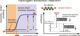 Mechanical modulation of reaction rates in electrocatalysis