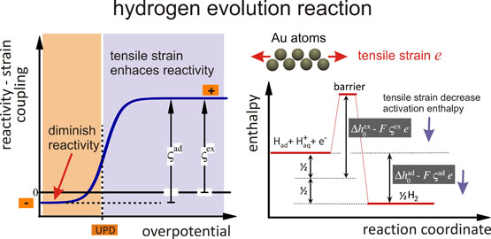 Mechanical modulation of reaction rates in electrocatalysis