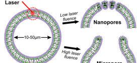 Optically controlled pore formation in self-sealing giant porphyrin vesicles.