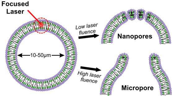 Optically Controlled Pore Formation in Self-Sealing Giant Porphyrin Vesicles