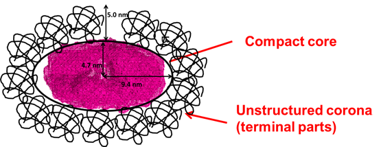 The role of stable α-synuclein oligomers in the molecular events underlying amyloid formation. Advances in Engineering