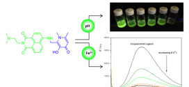 Design of a water soluble 1,8-naphthalimide/3-hydroxy-4-pyridinone conjugate: Investigation of its spectroscopic properties at variable pH and in the presence of Fe3+, Cu2+ and Zn