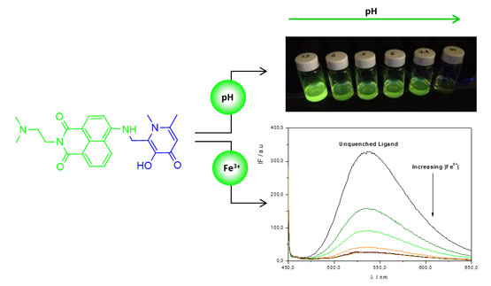 Design of a water soluble 1,8-naphthalimide/3-hydroxy-4-pyridinone conjugate: Investigation of its spectroscopic properties at variable pH 