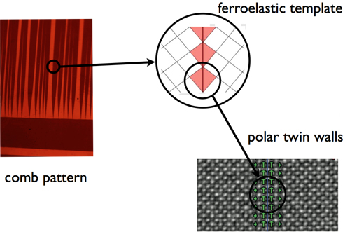 Domains within Domains and Walls within Walls: Evidence for Polar Domains in Cryogenic SrTiO3