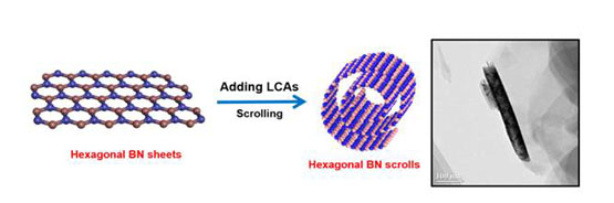 Formation of hexagonal boron nitride nanoscrolls induced by inclusion and exclusion of self-assembling molecules in solution process