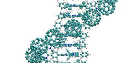 Fullerene-porphyrin supramolecular nanocables.