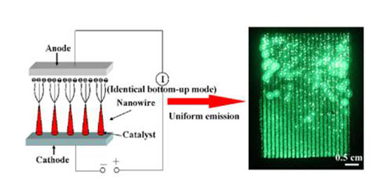 Growth of Large-Scale Boron Nanowire Patterns wit