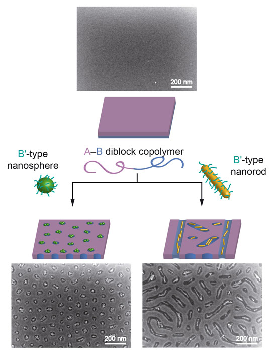 Co Assembly Of A-B Diblock Copolymers With B' Type Nanoparticles In Thin Films: Effect Of Copolymer Composition And Nanoparticle Shape-	- Advances in Engineering
