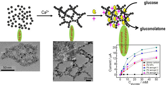 Controlling the Growth of Palladium Aerogels with High-Performance toward Bioelectrocatalytic Oxidation of Glucose- - Advances in Engineering