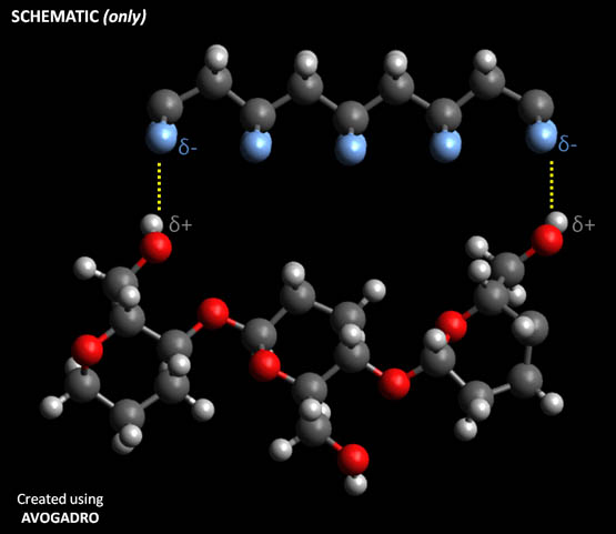 Beta-phase enhancement in polyvinylidene fluoride through filler addition: comparing cellulose with carbon nanotubes and clay- - Advances in Engineering