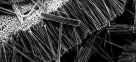 Magnetic force microscopy investigation of arrays of nickel nanowires and nanotubes. Advances in Engineering