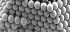 A study of ion adsorption onto surface functionalized silica particles. Advances in Engineering