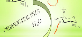 Bronsted Acid-Catalyzed Polymerization of epsilon-Caprolactone in Water: A Mild and Straightforward Route to Poly(epsilon-caprolactone)-graft-Water-Soluble Polysaccharides. Advances in Engineering