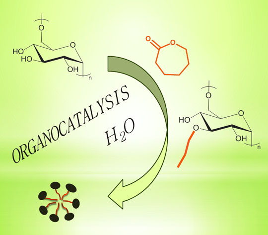 ε-caprolactone. Advances In Engineering