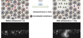 High Spatiotemporal Control of Spontaneous Reactions Using Ultrasound-Triggered Composite Droplets. Advances in Engineering