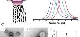 Jellyfish-Shaped Amphiphilic Dendrimers: Synthesis and Formation of Extremely Uniform Aggregates. Advances in Engineering