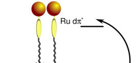 Amphiphilic ruthenium bipyridine complex containing long-chain azopyridine group and the mechanism of electrontransfer in Langmuir-Blodgett films