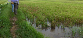 Modification of uncertainty analysis in adapted material flow analysis: Case study of nitrogen flows in the Day-Nhue River Basin, Vietnam.