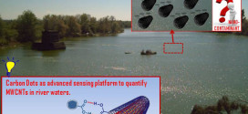 Photoluminescent carbon dot sensor for carboxylated multiwalled carbon nanotube detection in river water