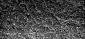 Preparation of monodisperse silica spheres and determination of their densification behaviour