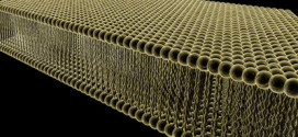 Quasi-unidirectional shrinkage of gels with well-oriented lipid bilayers upon uniaxial stretching