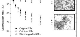 Silicone-grafted carbonaceous nanotubes with enhanced dispersion stability and electrorheological efficiency-