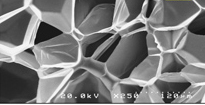 Surfactant free Pickering emulsion polymerization of styrene in w/o/w system using cellulose nanofibrils