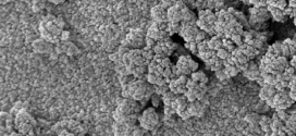 Construction of hydrophobic wood surfaces by room temperature deposition of rutile (TiO2) nanostructures Advances in Engineering