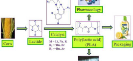 Group 1 salts of the imino(phenoxide) scaffold: Synthesis, structural characterization and studies as catalysts towards the bulk ring opening polymerization of lactides Advances in Engineering