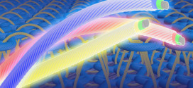 High Luminance Fiber-Based Polymer Light-Emitting Devices by a Dip-Coating Method. Advances in Engineering