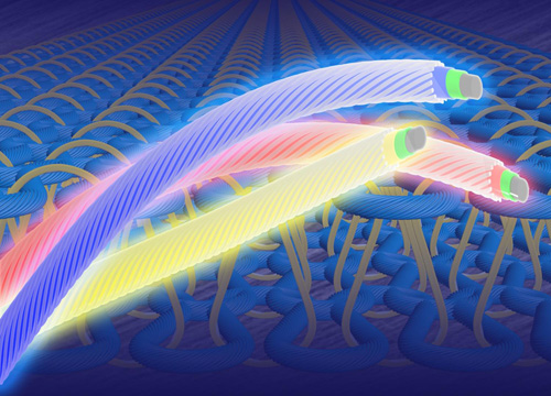 High Luminance Fiber-Based Polymer Light-Emitting Devices by a Dip-Coating Method. Advances in Engineering