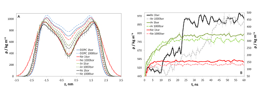 Modelling of noble anaesthetic gases and high hydrostatic pressure effects in lipid bilayers Advances in Engineering