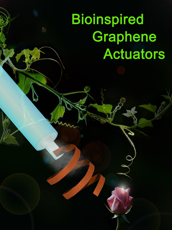 Bioinspired Graphene Actuators Prepared by Unilateral UV Irradiation of Graphene Oxide Papers. Advances In Engineering