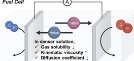 Impact solute concentration electrocatalytic conversion of dissolved gases - advances in engineering-