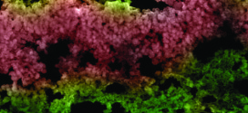 Improved size distribution control silicon nanocrystals in spatially confined remote plasma - advances in engineering