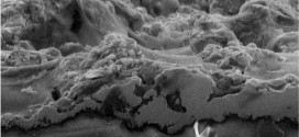 Mechanical Study Novel VPS-Titanium Coating on Polyethylene Substrates. Advances In Engineering