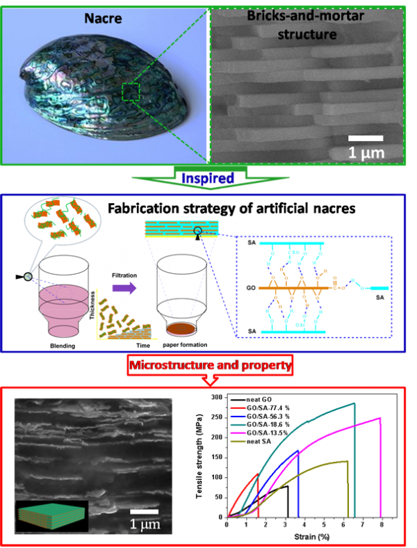Binary Synergy Strengthening Toughening Bio-Inspired Nacre-like Graphene Oxide Sodium Alginate Composite Paper